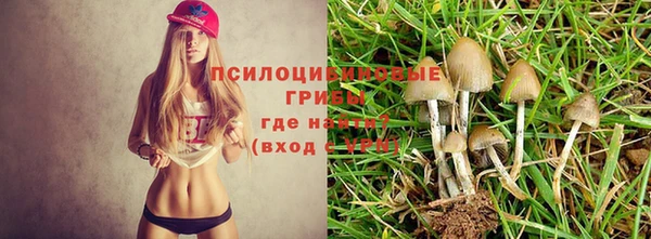 каннабис Сафоново