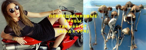сатива Саяногорск