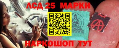 прущие грибы Керчь