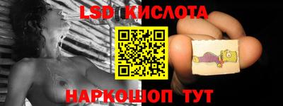 прущие грибы Керчь