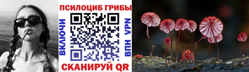 Галлюциногенные грибы MAGIC MUSHROOMS  купить закладку  Кондопога 
