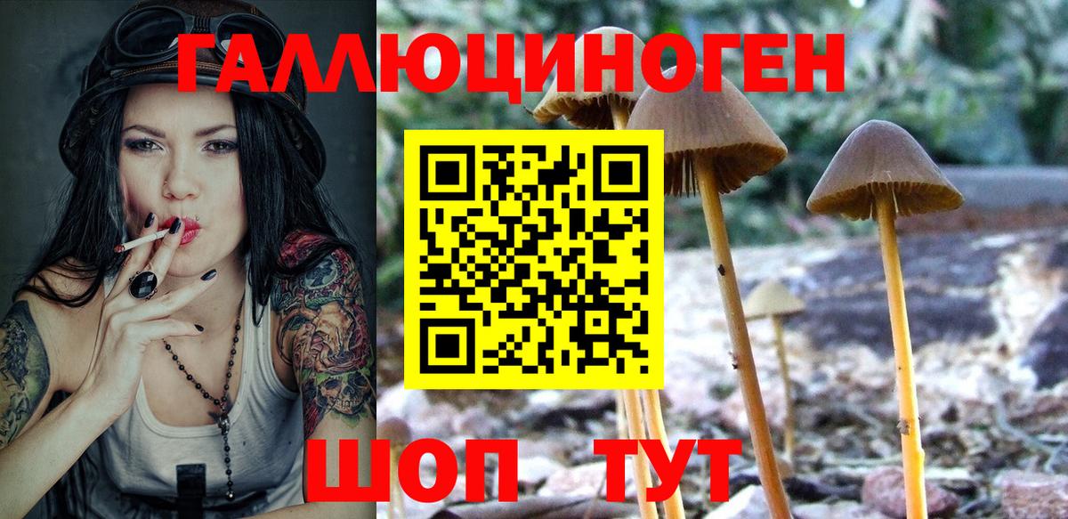 Псилоцибиновые грибы ЛСД Кондопога