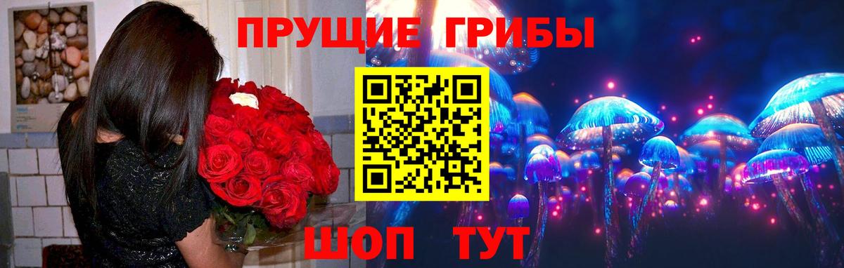 Галлюциногенные грибы прущие грибы  Вход с VPN  Кондопога 