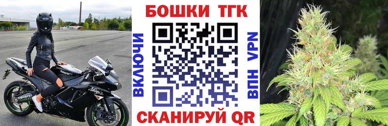 купить закладку  Кондопога  Бошки марихуана планчик 